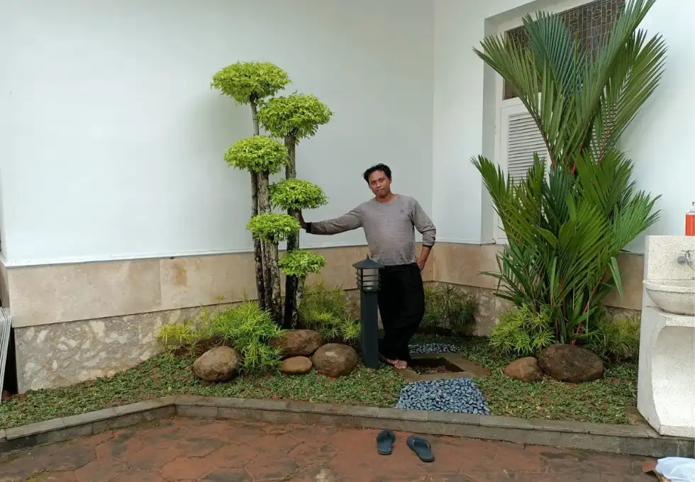 Qilla Garden update (3)